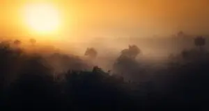 Understanding Trauma